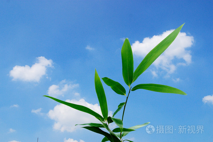 亚洲中文字幕在线观看视频,国产午夜亚洲精品一级在线,亚洲国产欧美日韩在线